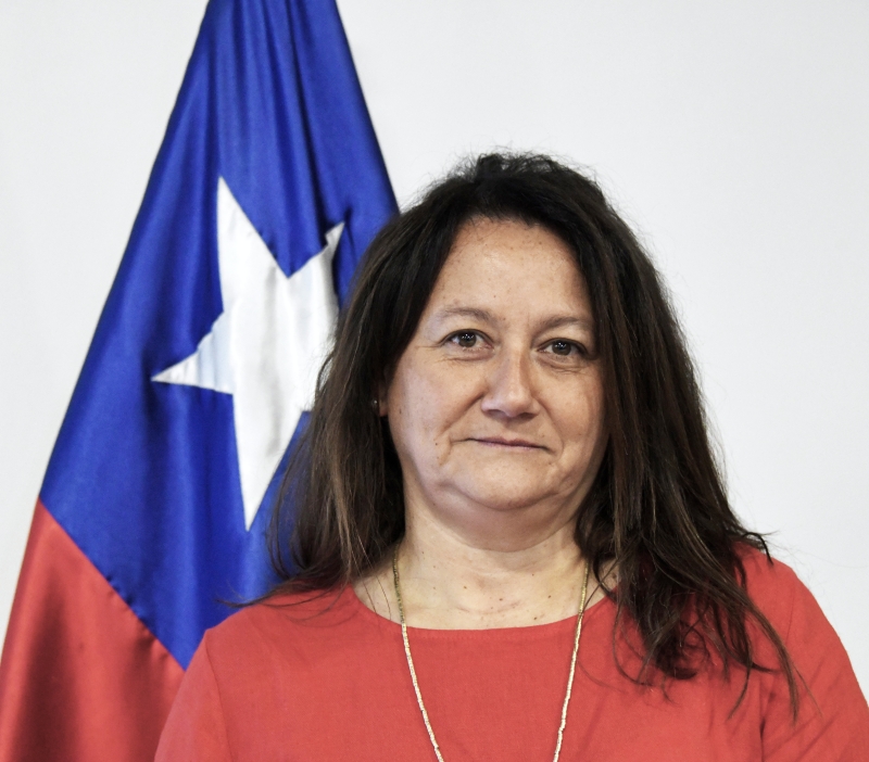 Ministra Paola Plaza González: «Para la sociedad todo es difícil de entender, que una justicia llegue de manera tan tardía»